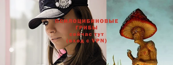 бутират Иннополис