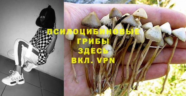 экстази Инта