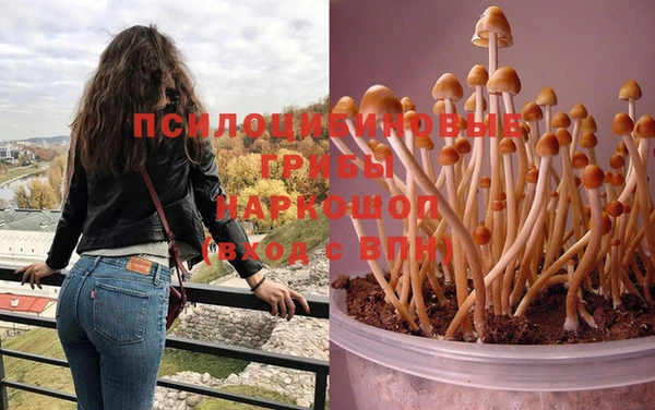 бутират Иннополис