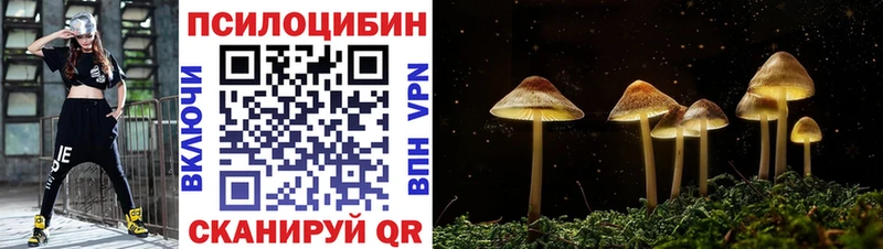 Купить где  Шумерля  Галлюциногенные грибы мицелий 